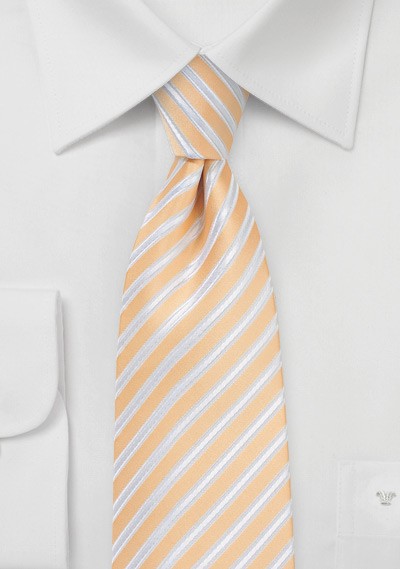 Sun Burst Summer Striped Necktie