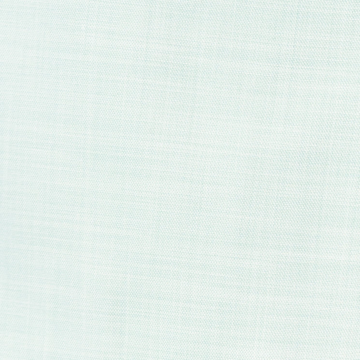 Light Sage Sharkskin 2 Button Suit
