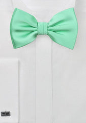 Mint Solid Bowtie