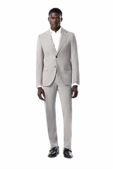Plum Purple 2 Button Suit