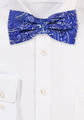 Royal Blue Proper Paisley Bowtie